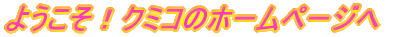 悤IN~R̃z[y[W 